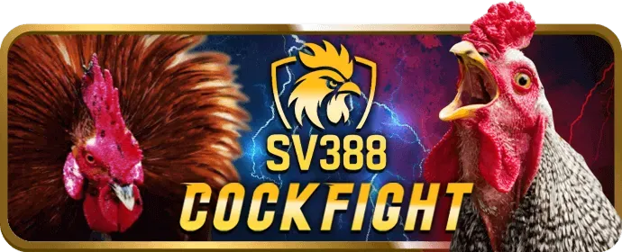 Dịch vụ chăm sóc khách hàng chuyên nghiệp của PK88